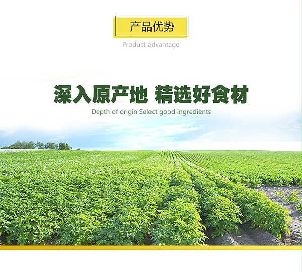 麦肯铜牌曲薯903179