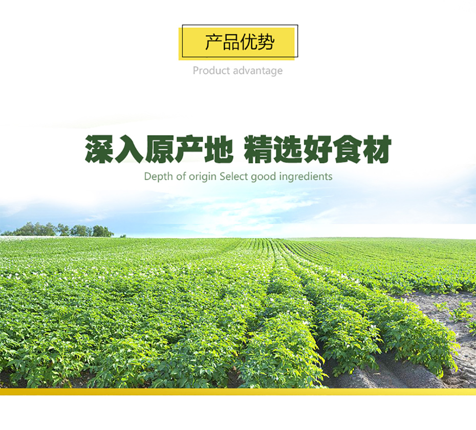 麦肯铜牌曲薯903179